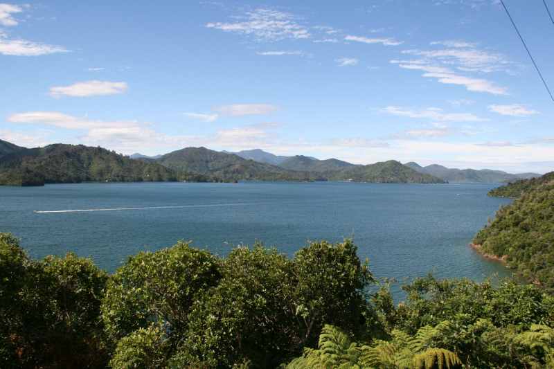 Nieuw-Zeeland 2011 - 0949